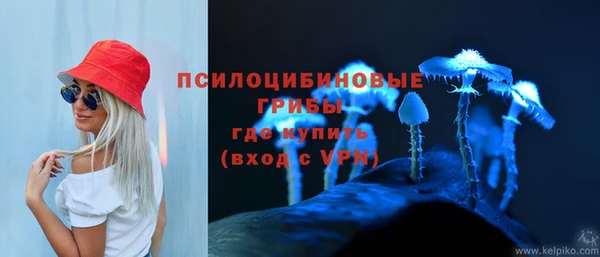 а пвп мука Армянск