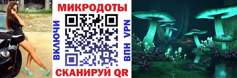 Псилоцибиновые грибы Psilocybine cubensis  Купить закладки  Нея 
