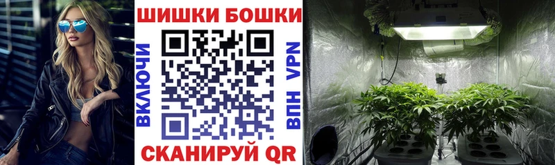 Купить  Нея  Бошки Шишки SATIVA & INDICA 